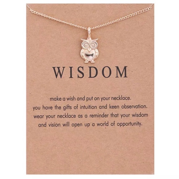 artemis Jewelry - "Sara" Wise Owl 🦉 💕 Gold Necklace Dainty